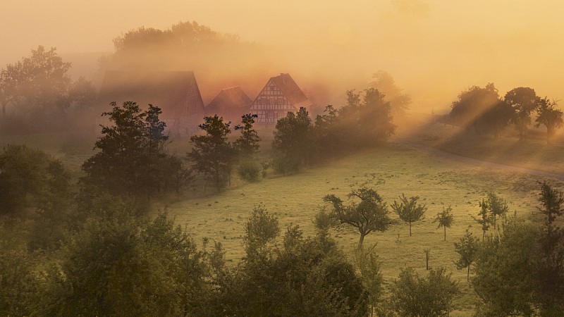Malerische Landschaftaufnahme: Museumsgelände im morgendlichen Nebel